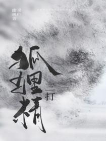 打狐狸什么意思
