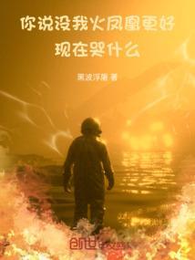 你说过我没有这个是什么歌曲里的歌词