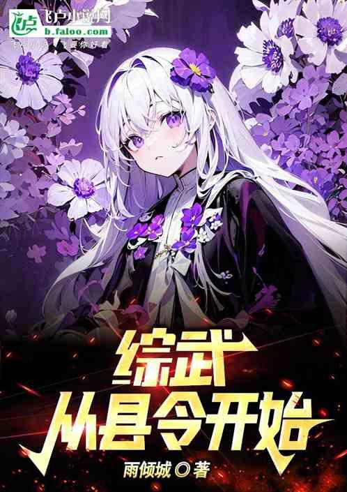从综武开始