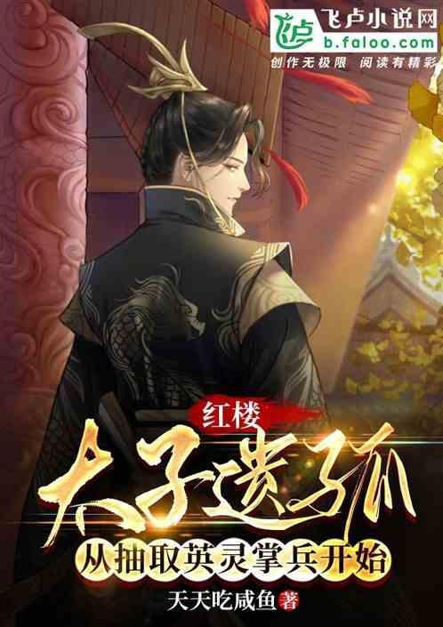 红楼皇太子传