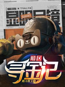 寻金记完整版