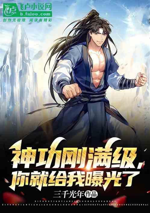 武侠神功自动满级