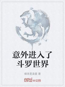 意外进入了斗罗世界免费阅读