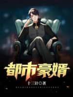 都市豪门女婿大全