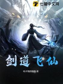 剑道飞仙境界