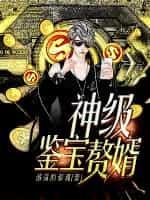 神级鉴宝赘婿在线阅读
