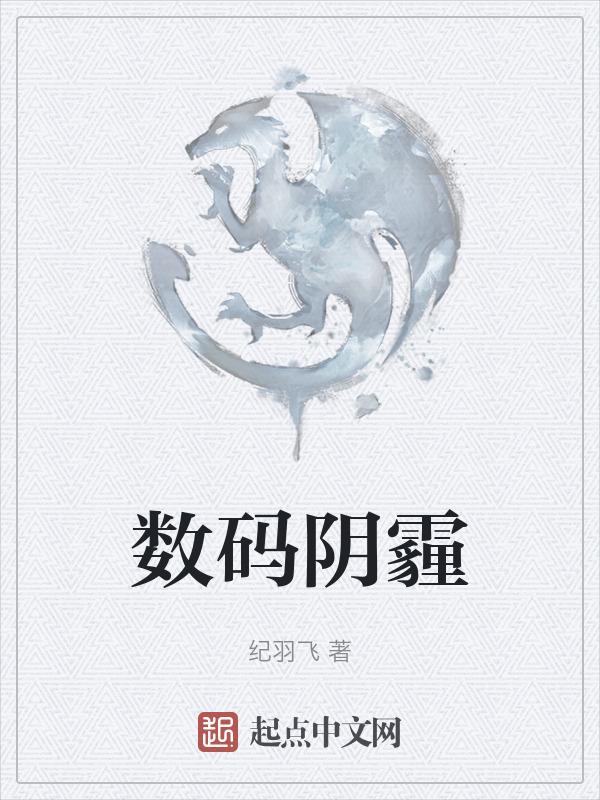 数码is