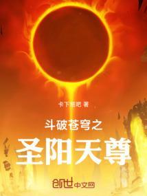 斗破苍穹之圣阳天尊阅读网
