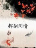 挥剑问情电视剧