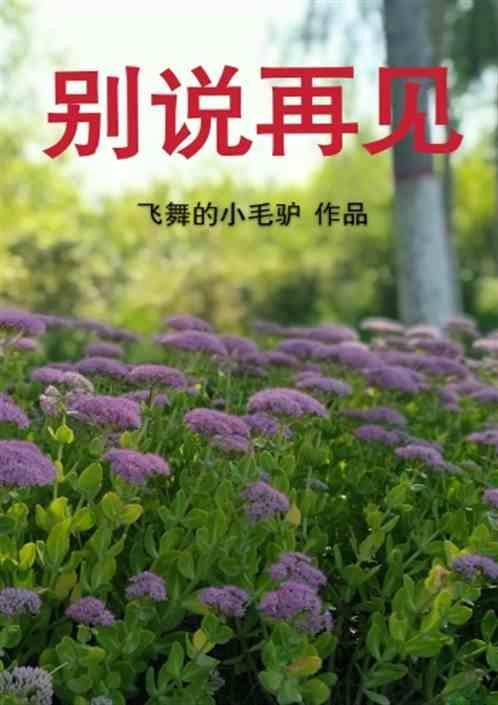 别说再见英文