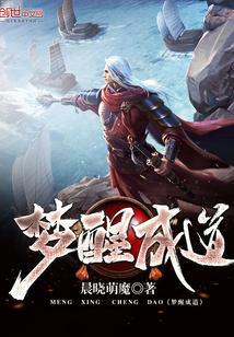 夏亦初权易大结局