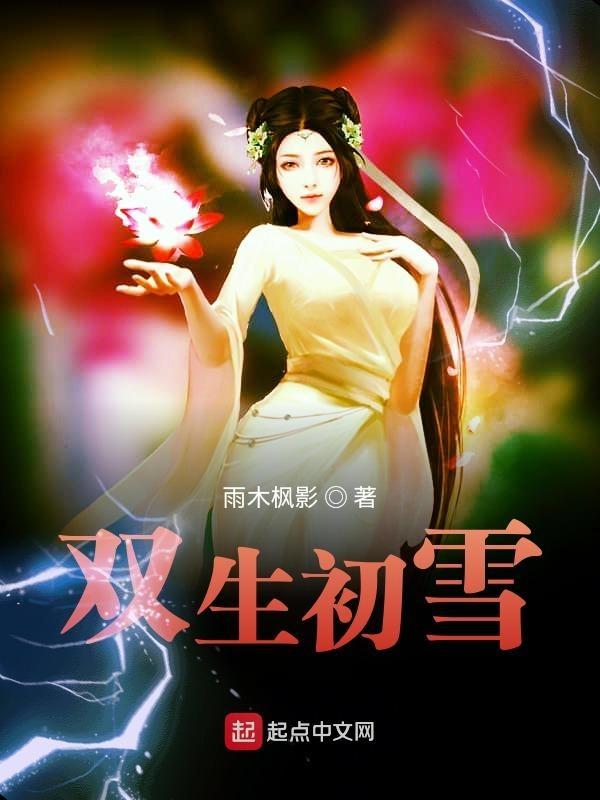 双生打法