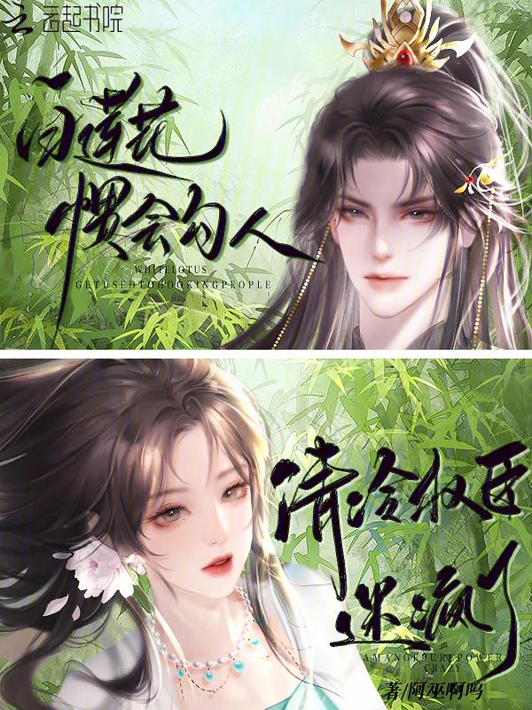 白莲花免费阅读