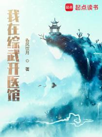 我在综武开医馆笔趣阁