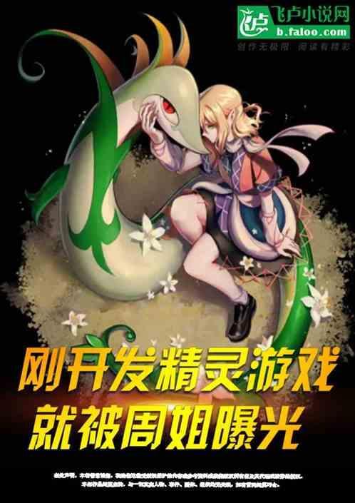 藏家姑娘视频