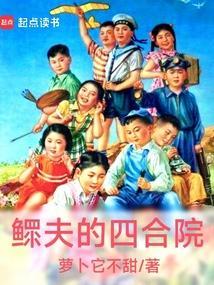 鳏夫的四合院生活免费阅读