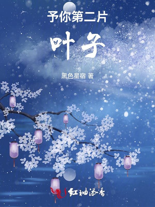 予你第二片叶子是什么歌