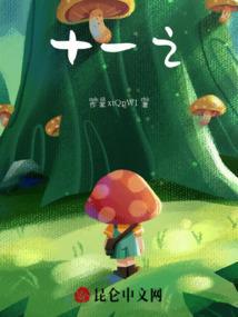 十一之心二三转