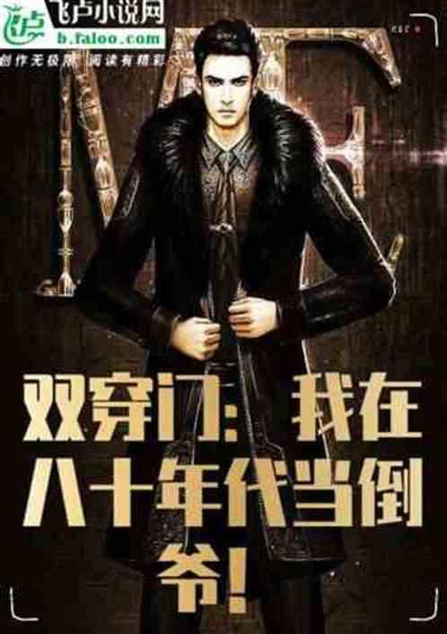 双穿门我在八十年代当倒爷