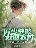 假少爷被赶回农村带妻儿逆袭人生动漫