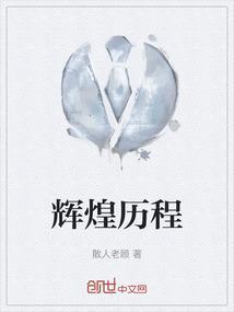 辉煌历程酒价格