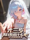 洗白系统什么鬼?作者北方苍狼饿成狗