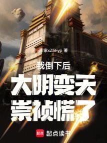 大明 我崇祯要打爆全球