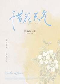 惜花天气全文txt百度