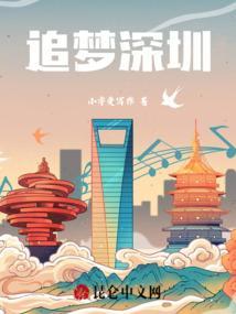 追梦深圳卫视