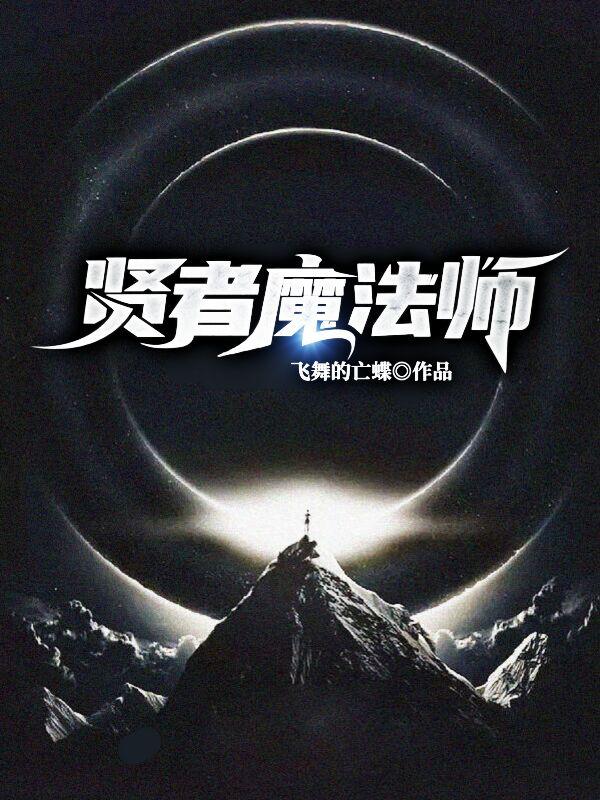 魔法师贤者什么意思