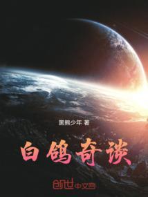 白鸽游戏