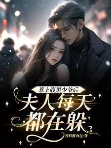 惹上腹黑冷殿下