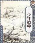 少年追命在线阅读全文