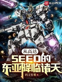 高达seed穿越重生