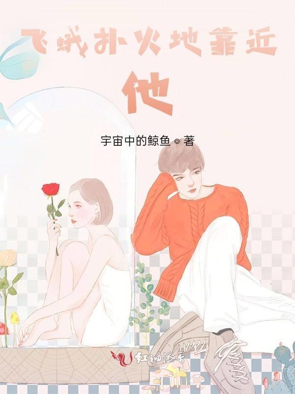 飞蛾扑向火是什么意思