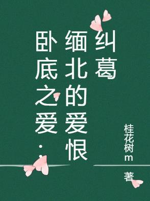 男主是缅甸卧底