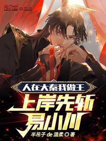 人在大秦狂怼易小川笔趣阁