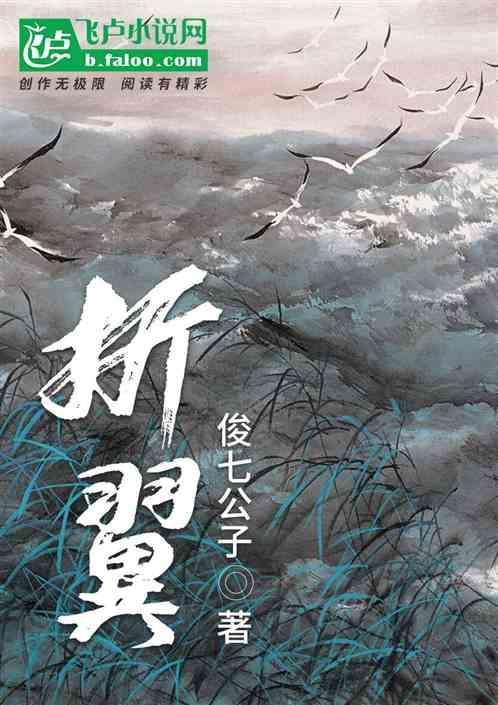 折翼的天使是什么意思