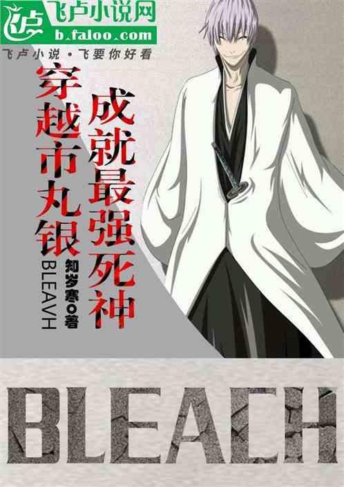死神里市丸银的结局
