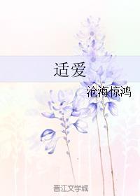 适爱 沧海惊鸿全文免费阅读笔趣阁