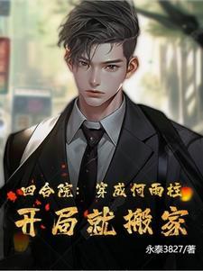 穿越四合院我是何晓