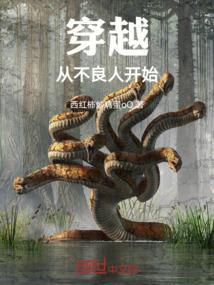 穿越到不良人4的