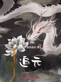 追元素是杂牌还是名牌