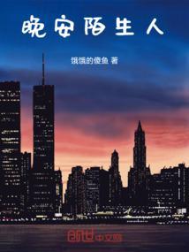 晚安陌生人