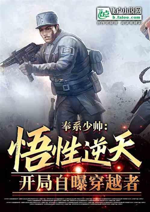 奉系军阀什么意思