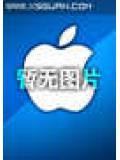 火影之命外之人全文阅读