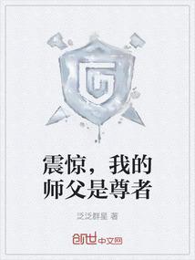 我的师傅惊为天人