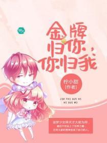 金牌归你你归我txt百度