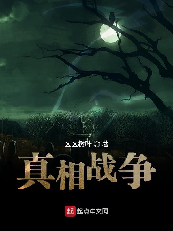 战争真相剧情回忆