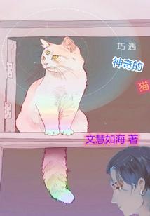 神奇的猫图片